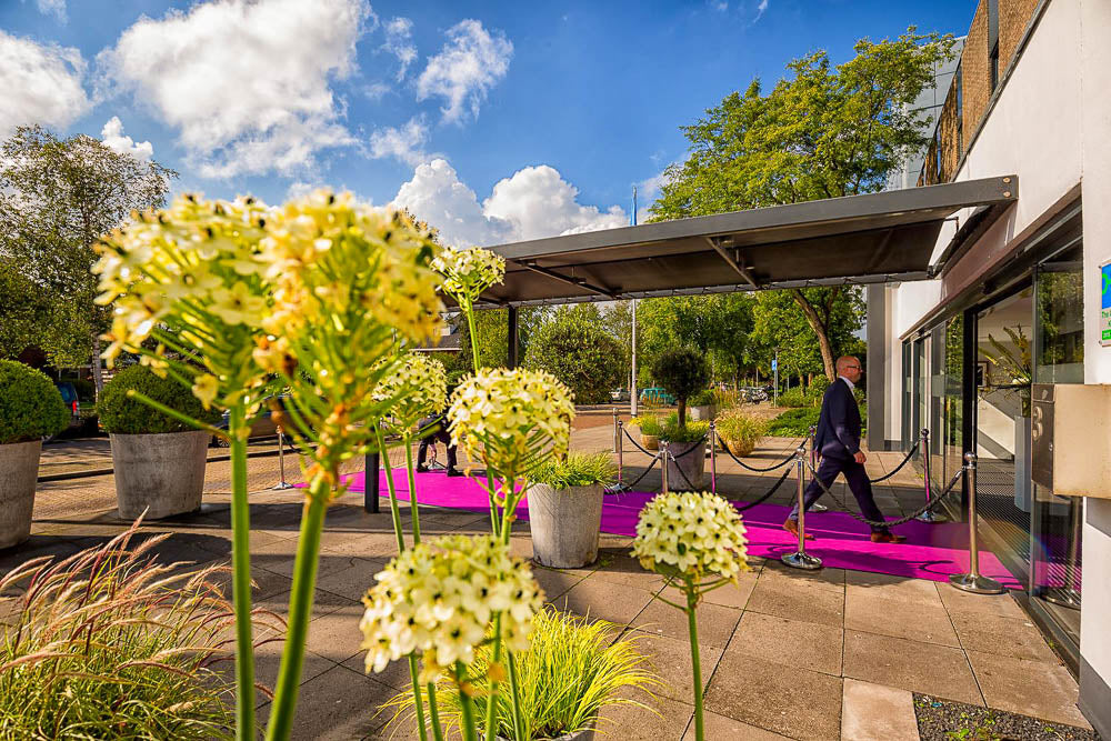 Set Afzetpalen met Koord | Chroom - Zwart - Ronde Bol