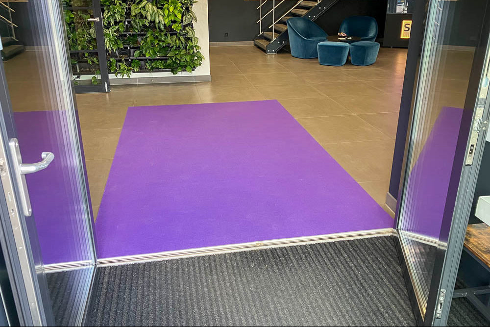 Dallas | 202 - Paars