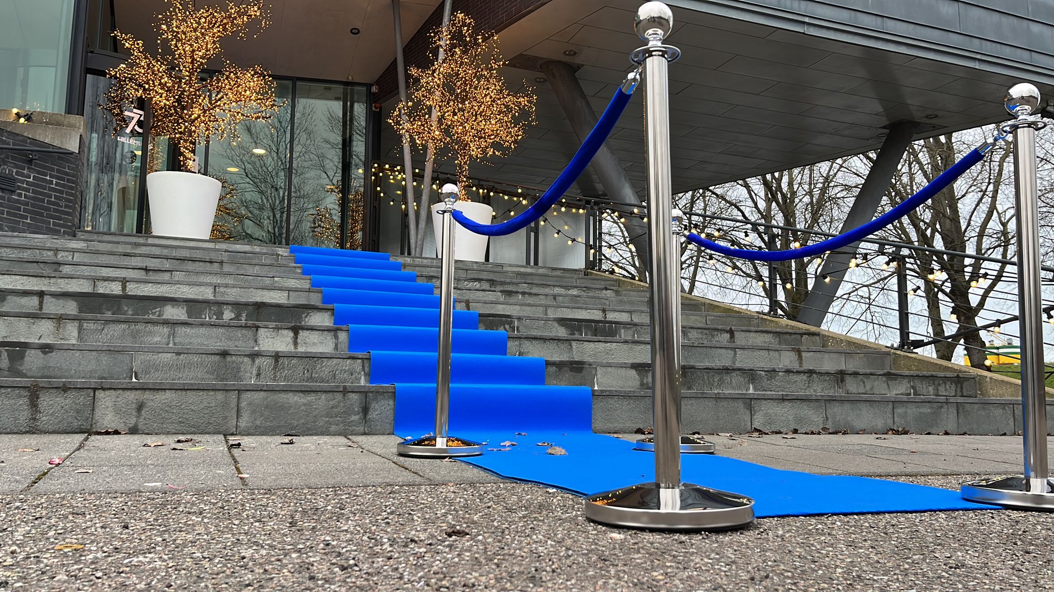 Afzetkoord Velours | Blauw - Chroom