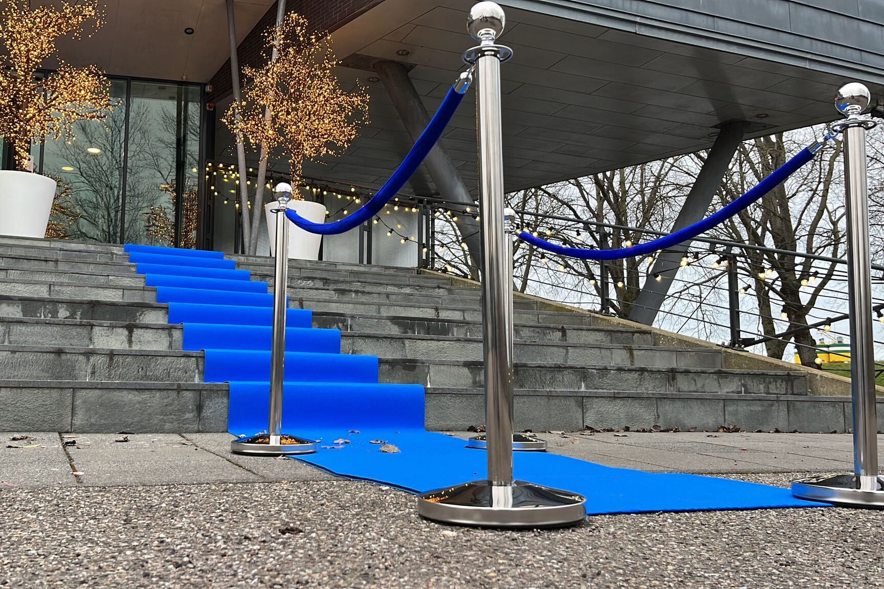 Afzetpaal voor koord | Ronde Bol - Chroom Afzetpalen Rodelopers 