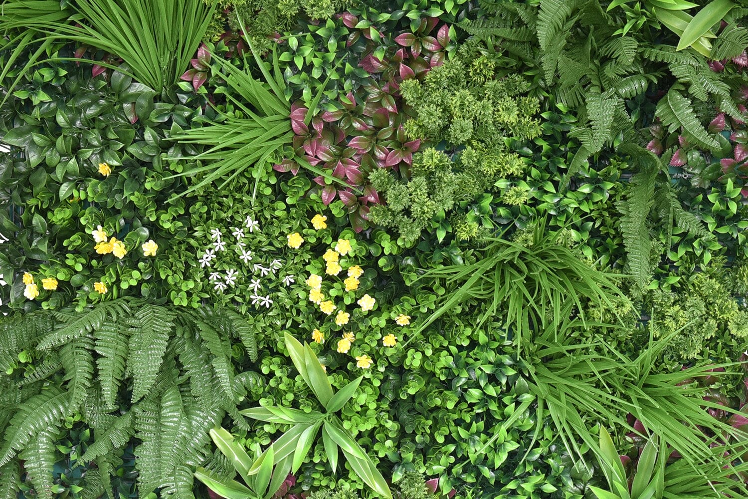 Kunsthaag Ava Wonder | 100 x 100cm | GJ Floors