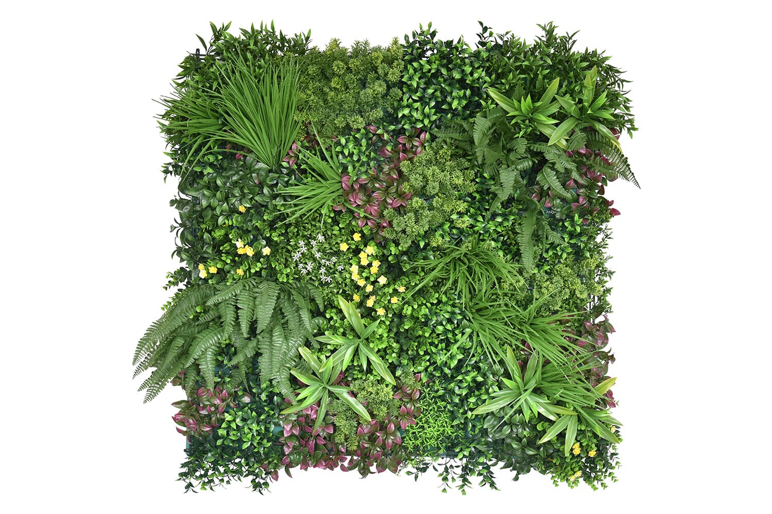 Kunsthaag Ava Wonder | 100 x 100cm | GJ Floors