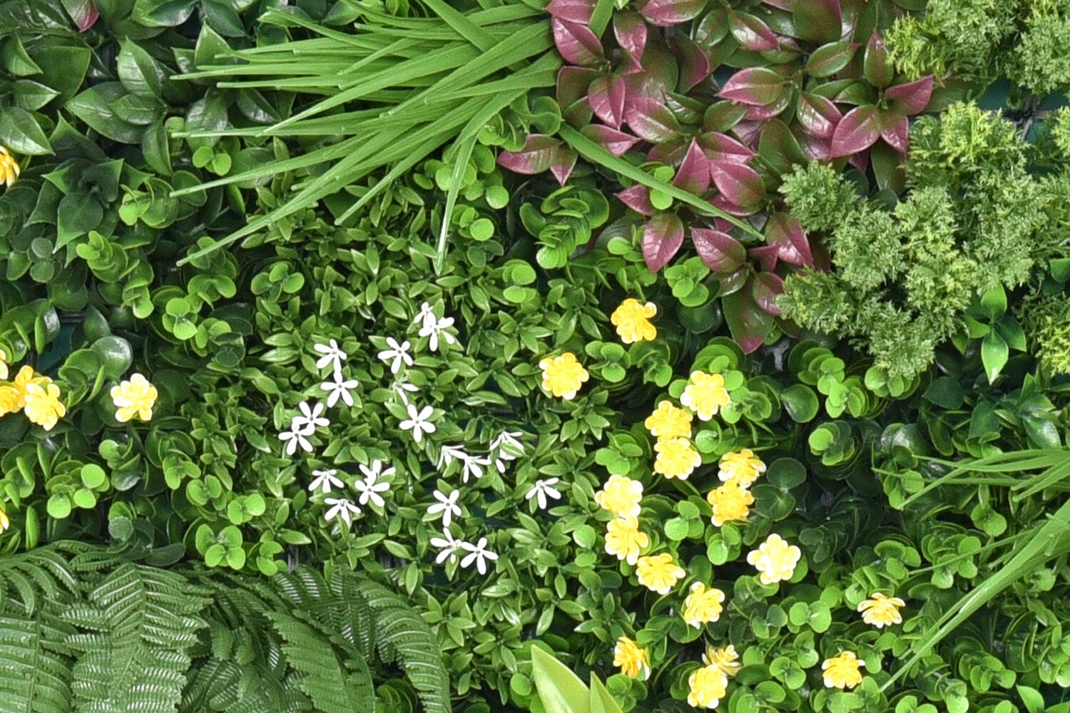 Kunsthaag Ava Wonder | 100 x 100cm | GJ Floors