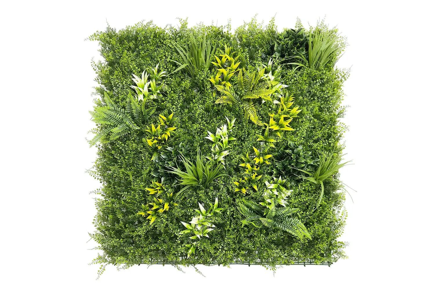 Kunsthaag Botanic A | 100 x 100cm van Rodelopers