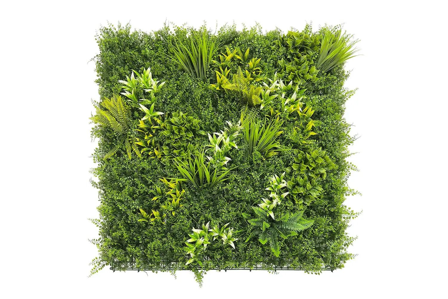 Kunsthaag Botanic B | 100 x 100cm van Rodelopers