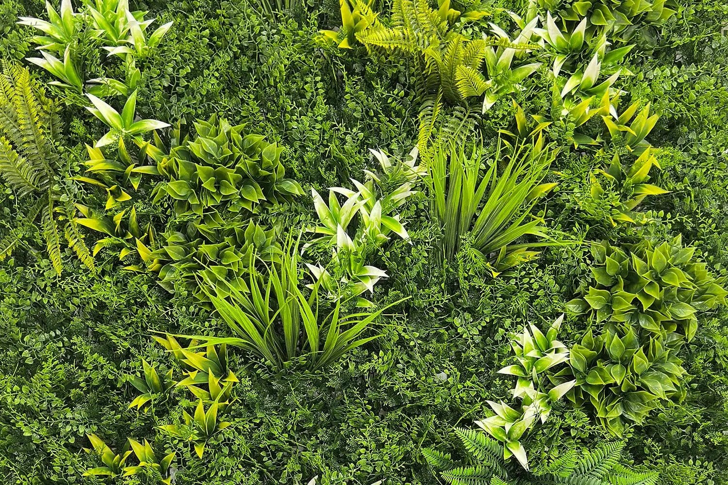Kunsthaag Botanic B | 100 x 100cm van Rodelopers