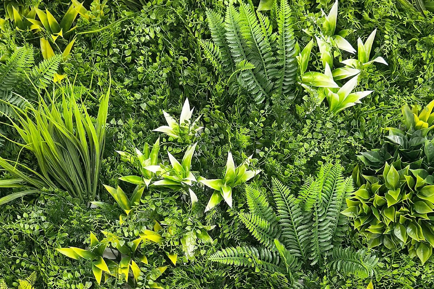 Kunsthaag Botanic C | 100 x 100cm van Rodelopers