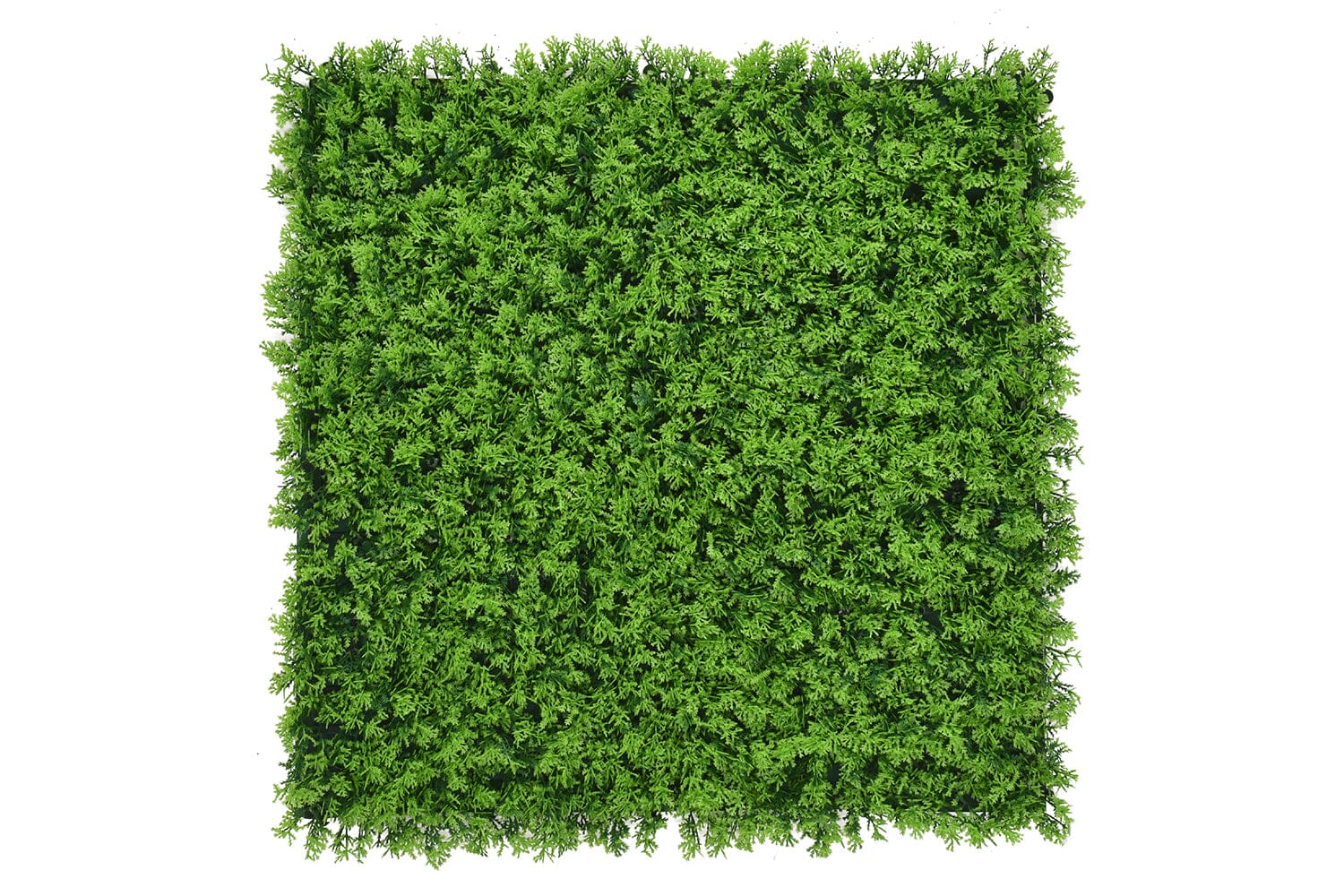 Kunsthaag Charlotte Cupressus | 100 x 100cm | GJ Floors