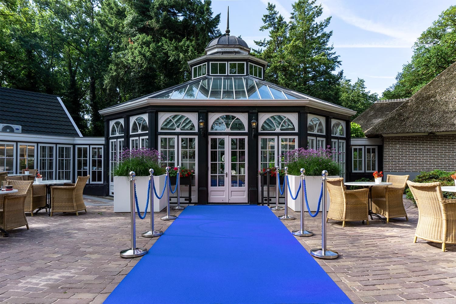 Dallas | 207 - Zeeblauw Lopers Rodelopers 