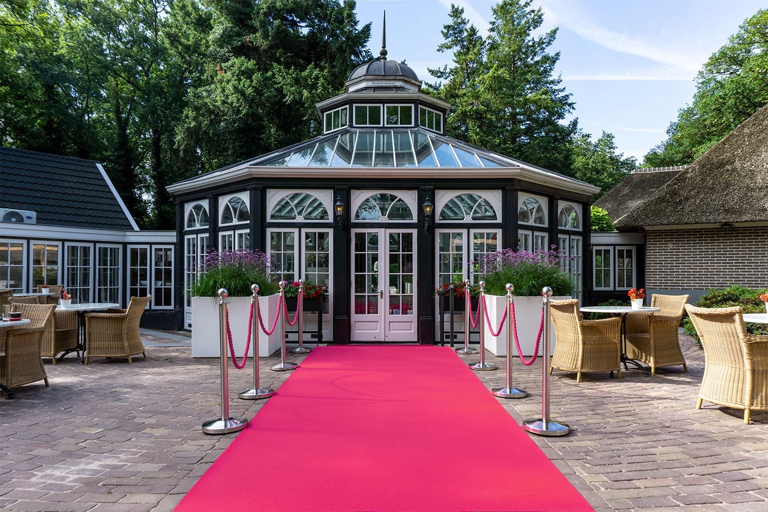 Dallas | 209 - Fuchsia Lopers Rodelopers 