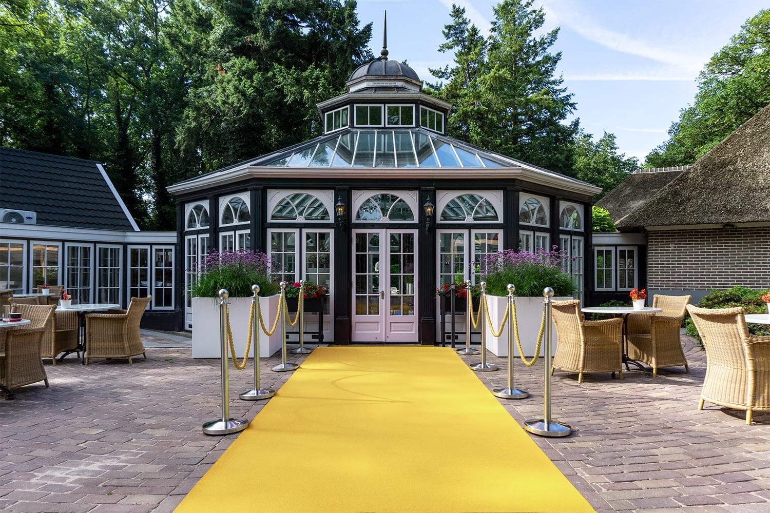 Dallas | 212 - Geel Lopers Rodelopers 