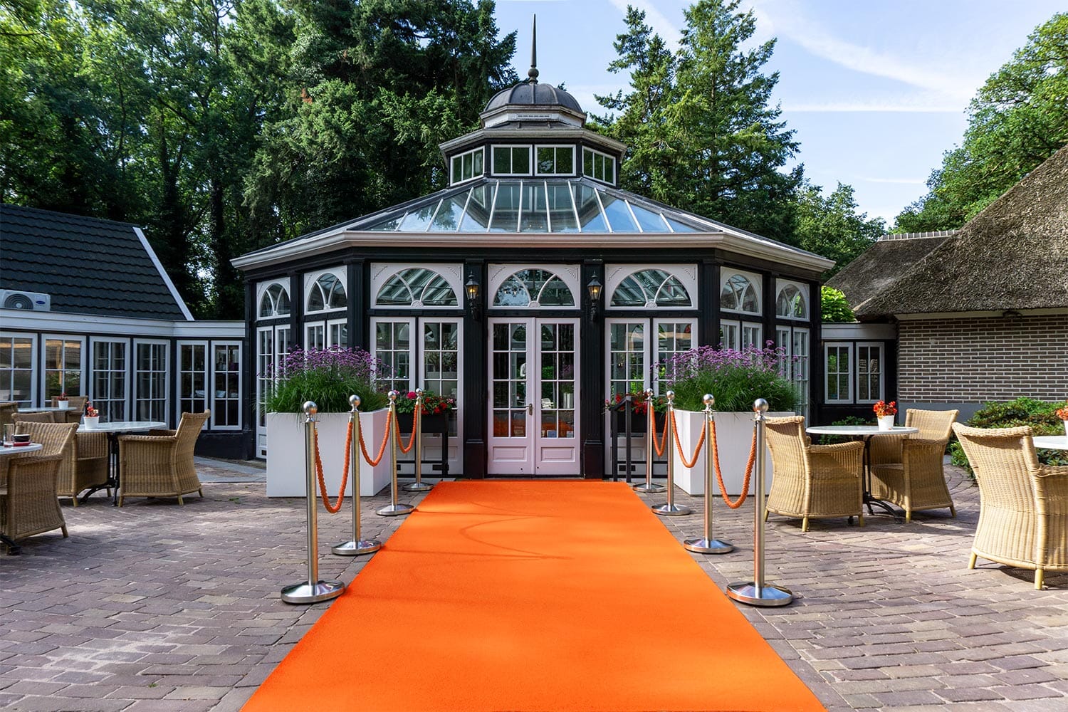 Dallas | 213 - Sinaasappel Lopers Rodelopers 