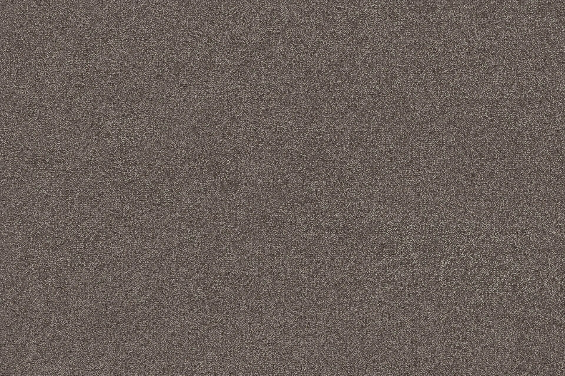 Dynasty | 0195 - Greige | 400cm van Rodelopers