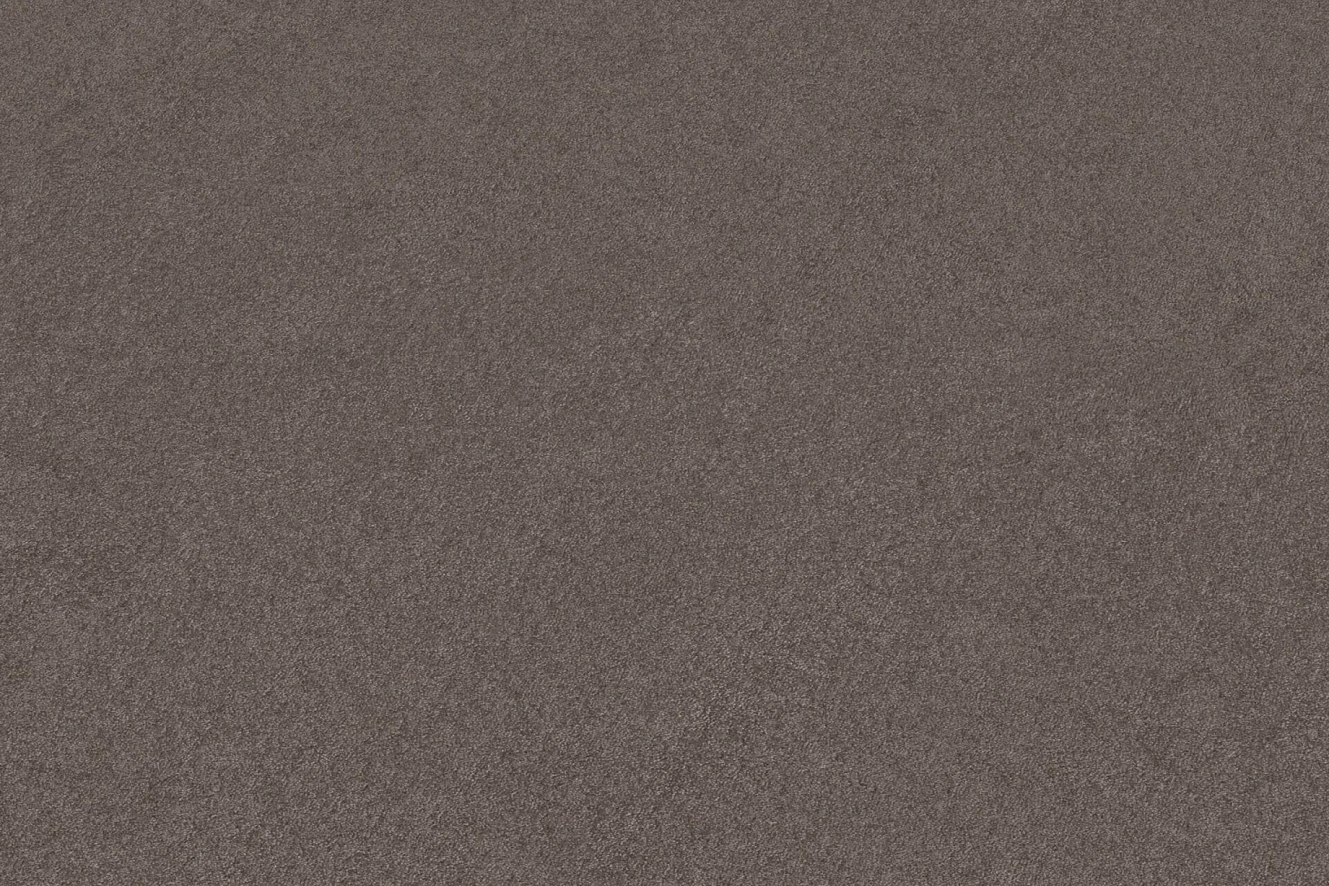 Dynasty | 0195 - Greige | 400cm van Rodelopers