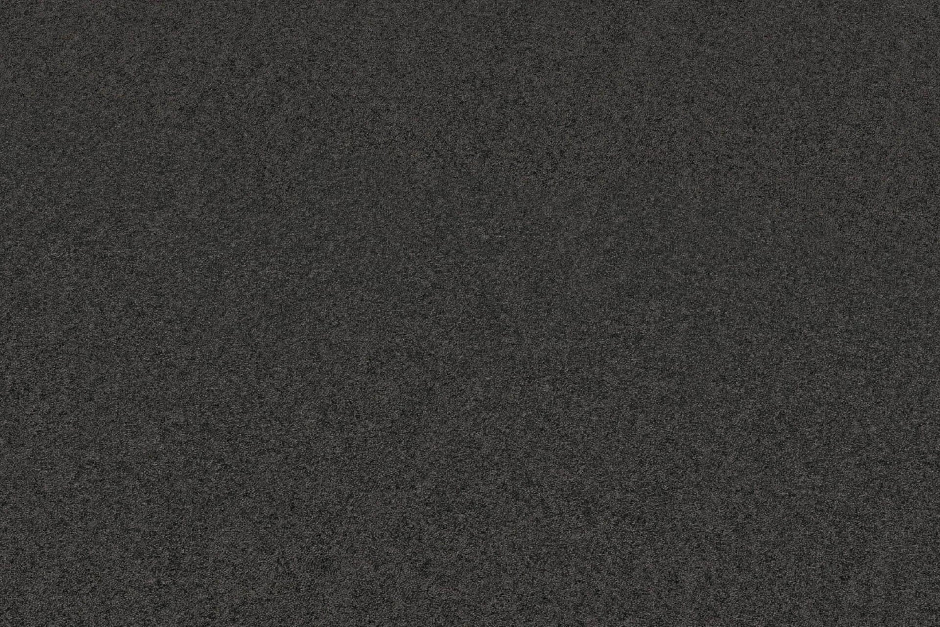 Dynasty | 0205 - Antraciet | 400cm van Rodelopers