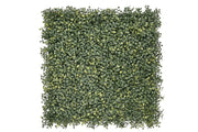 Emma Buxus van Rodelopers