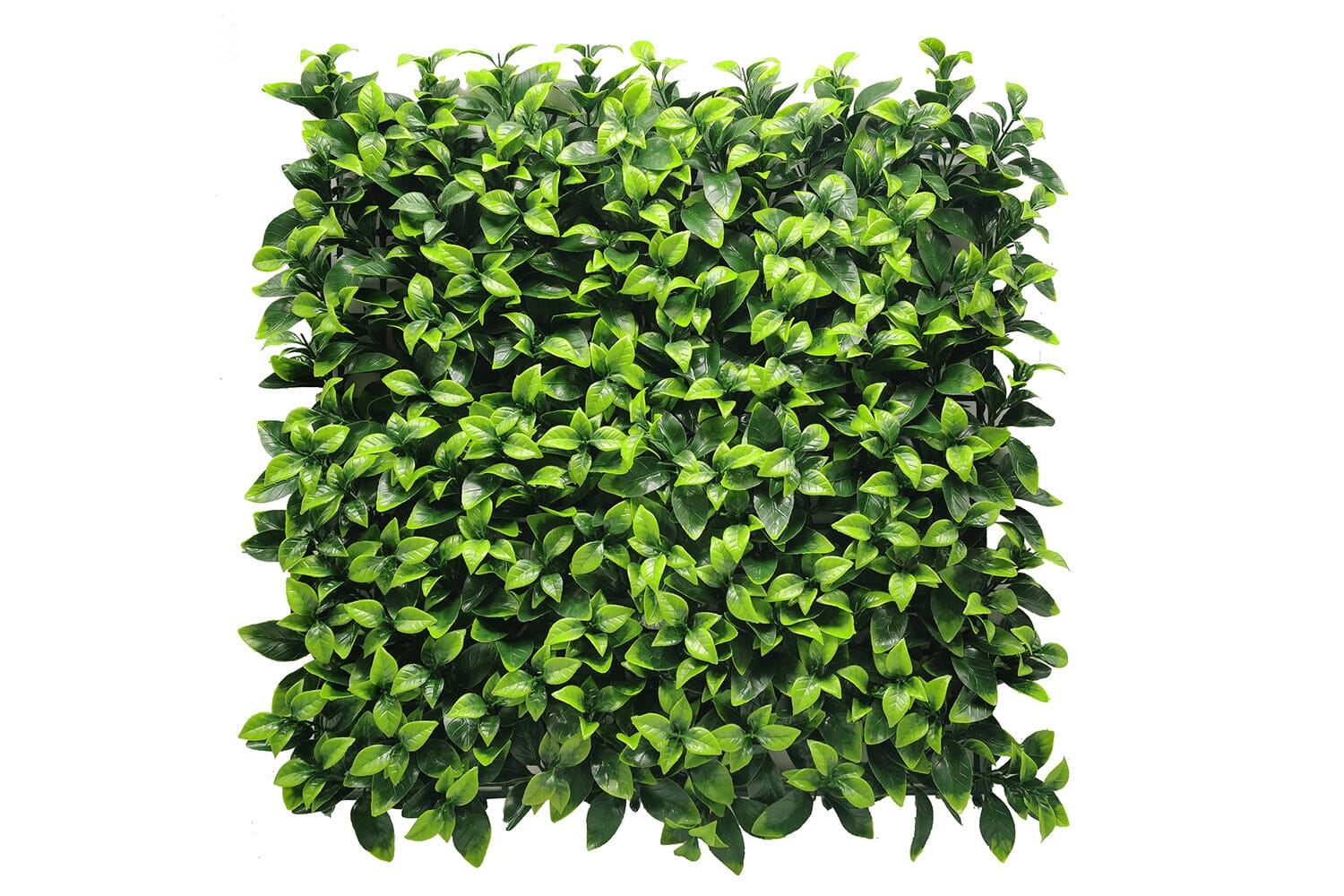 Fresh Light Wandbekleding Rodelopers 