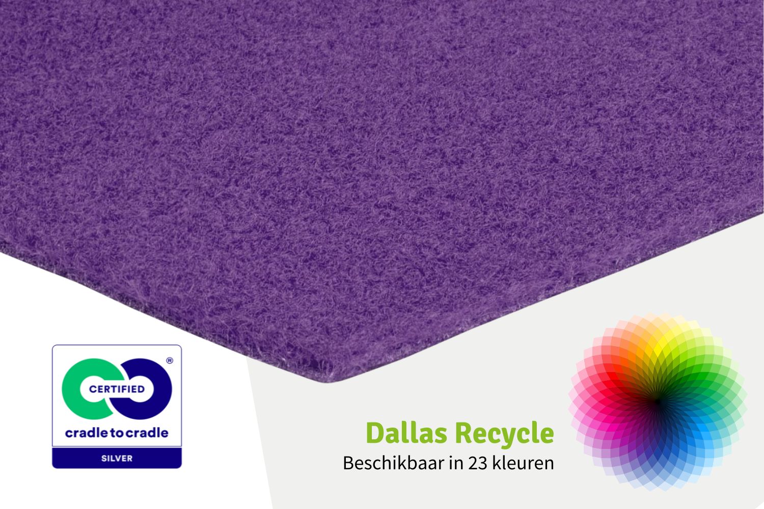 Dallas Recycle | 502 - Paars