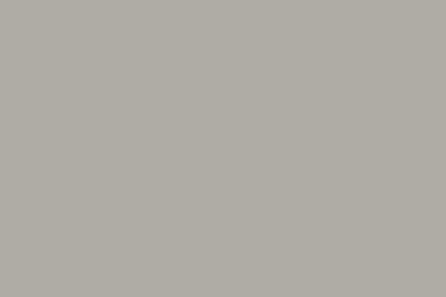 Switch | Vinyl | Effen Grijs | GJ Floors