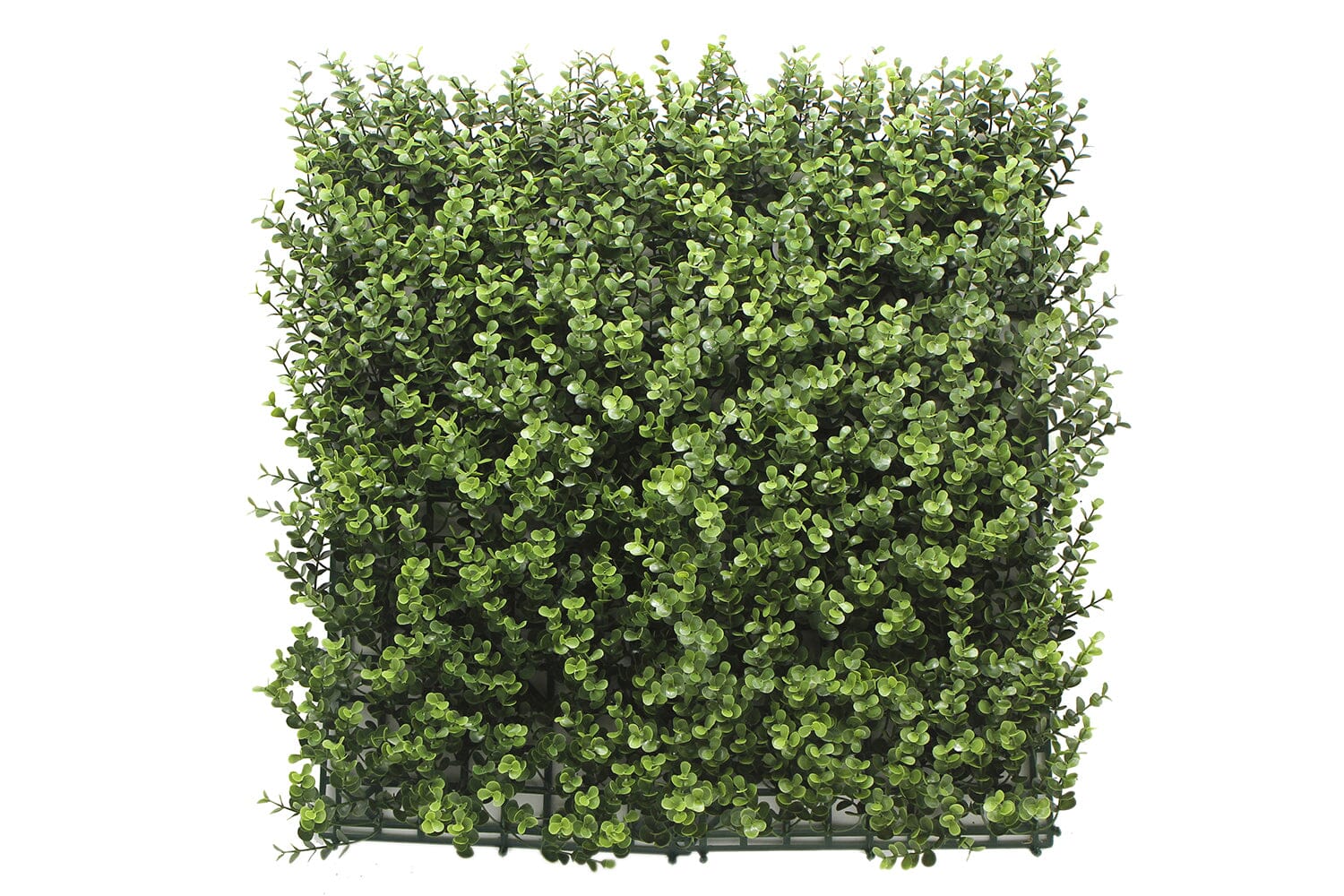 Kunsthaag Leah Buxus | 100 x 100cm | GJ Floors