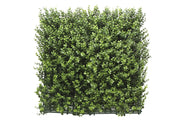 Leah Buxus van Rodelopers