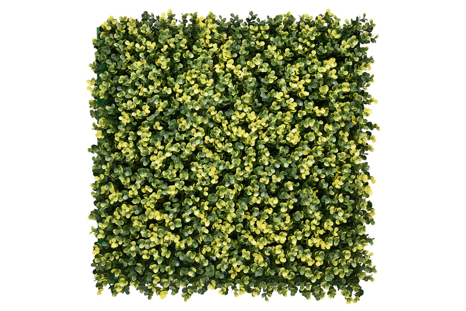 Lina Buxus Wandbekleding Rodelopers 
