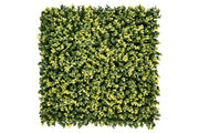 Lina Buxus van Rodelopers