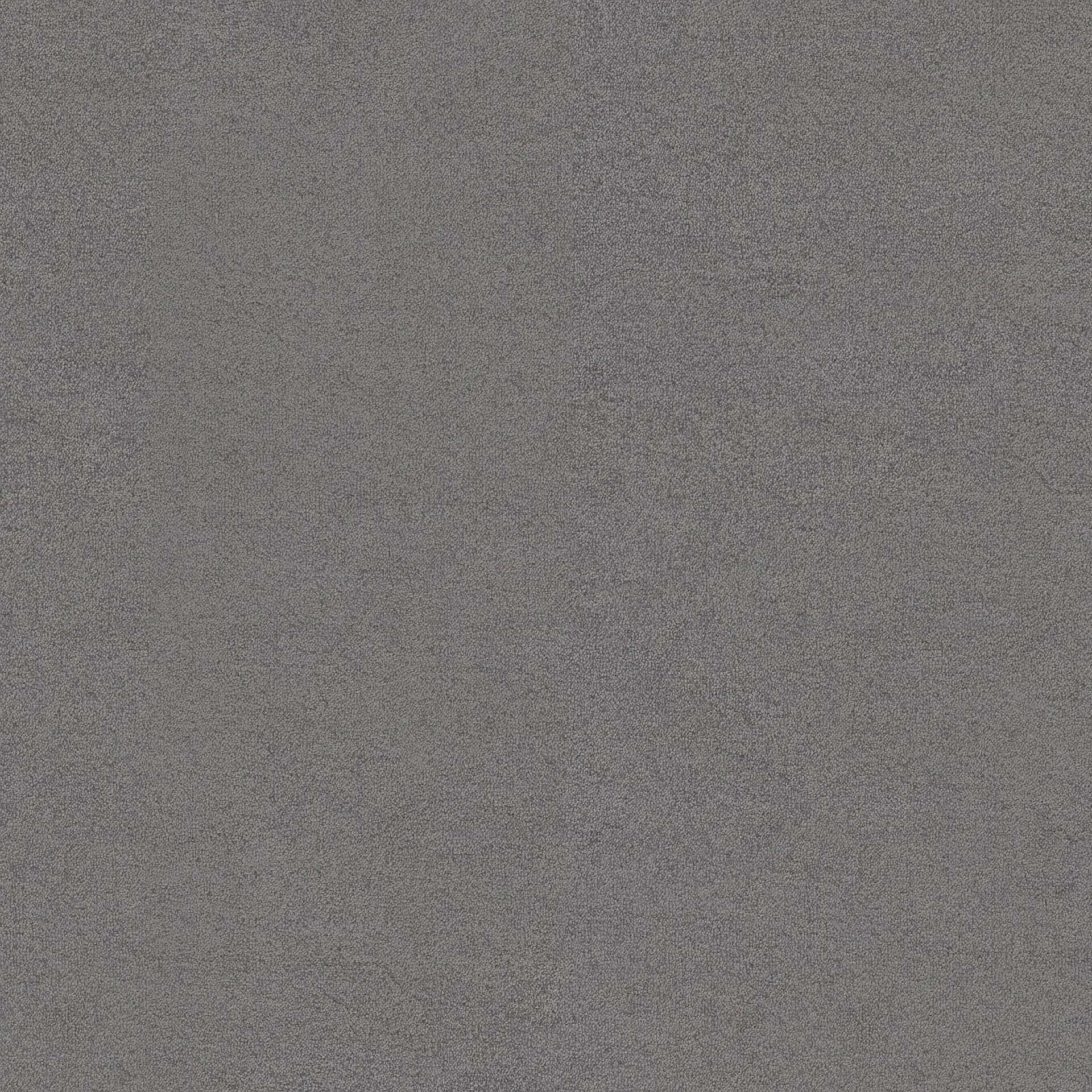 Luxor | 0100 - Grijs | 400cm van Rodelopers