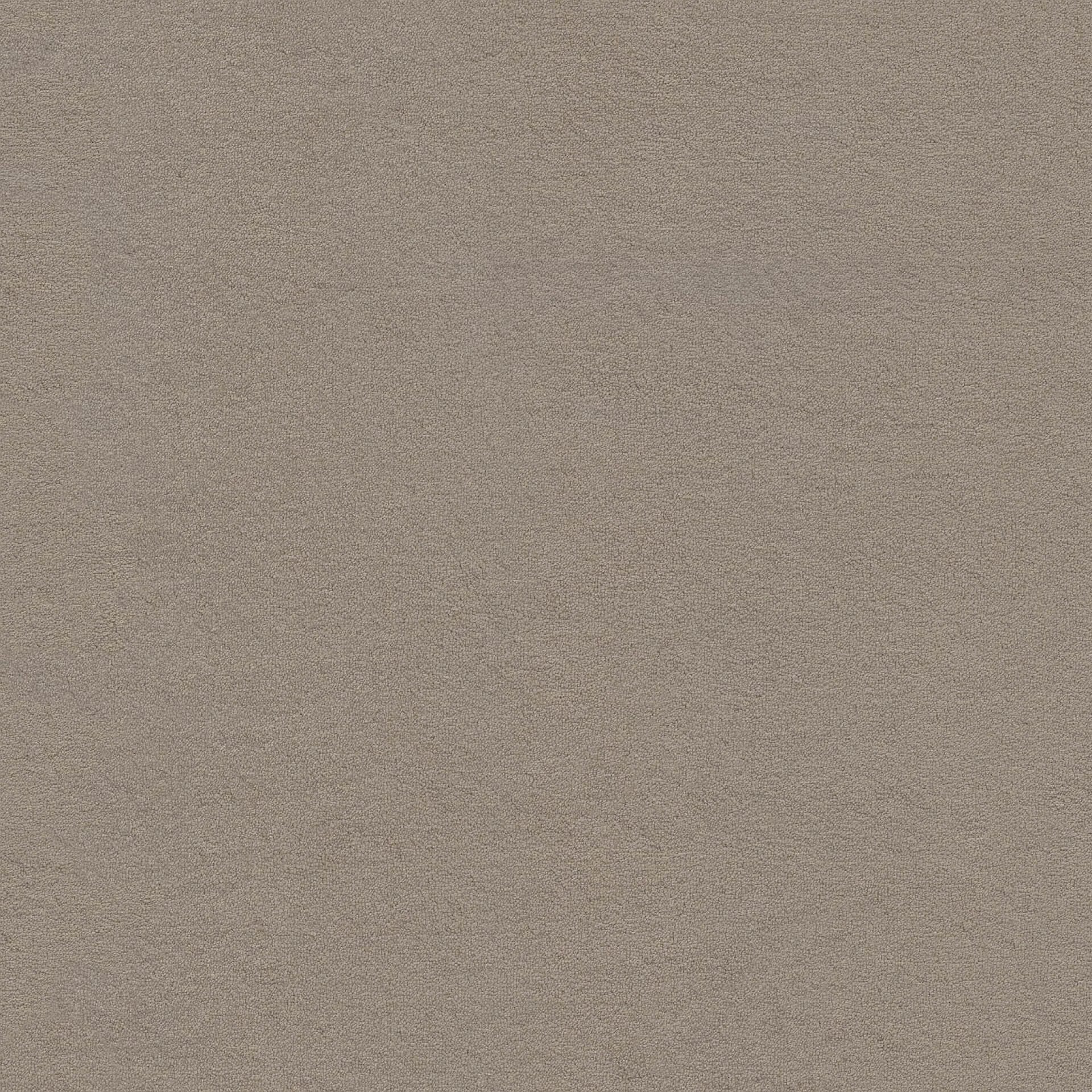 Luxor | 0496 - Grijsbeige | 400cm van Rodelopers