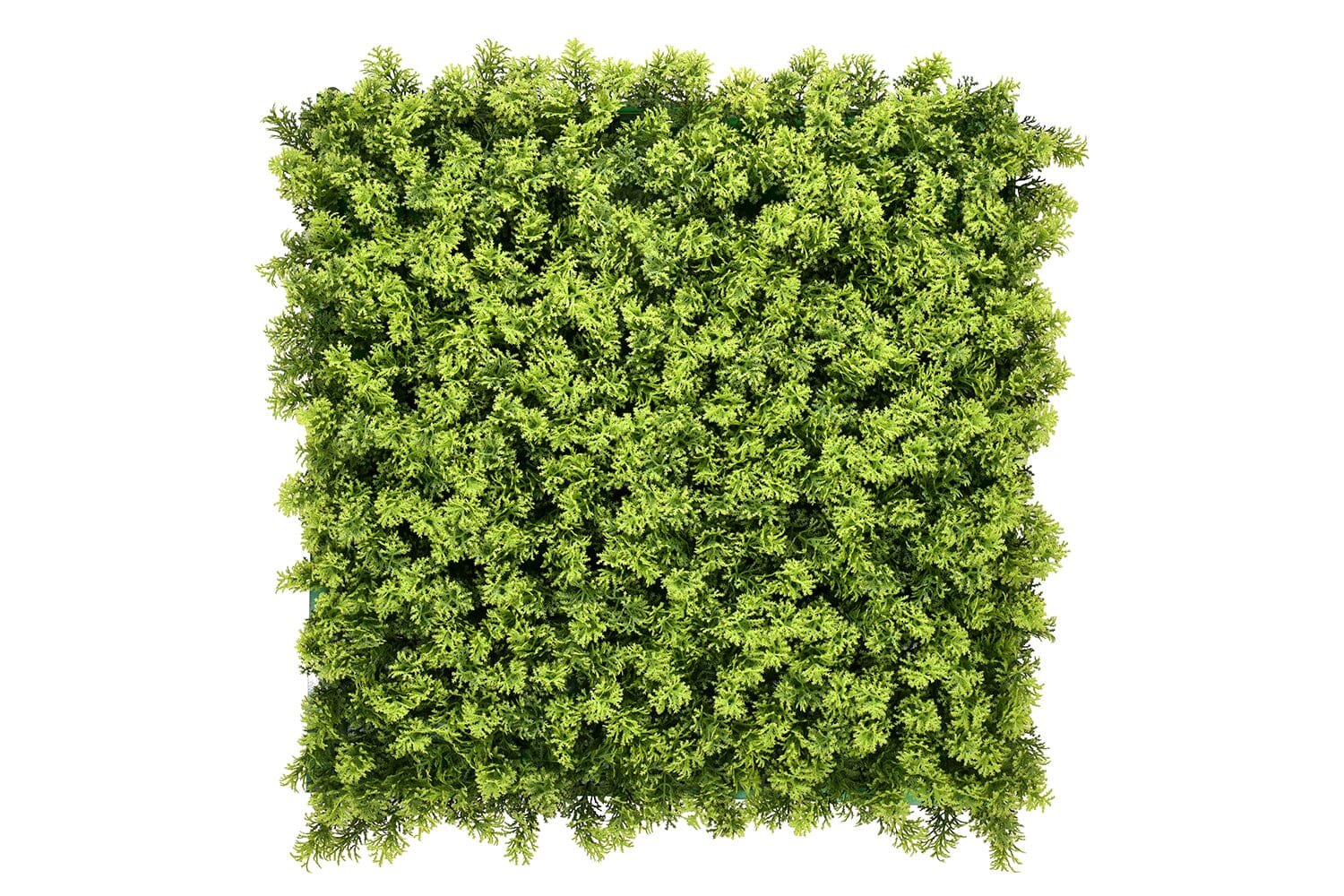 Kunsthaag Marie Moss | 100 x 100cm | GJ Floors