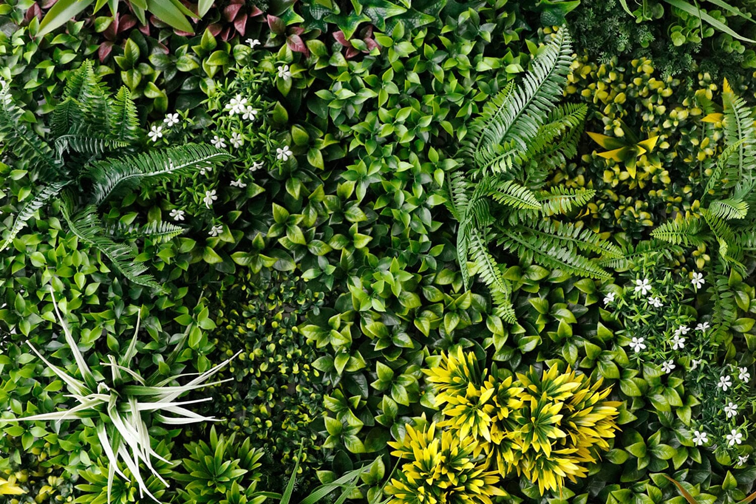 Kunsthaag Martina Spring | 100 x 100cm | GJ Floors