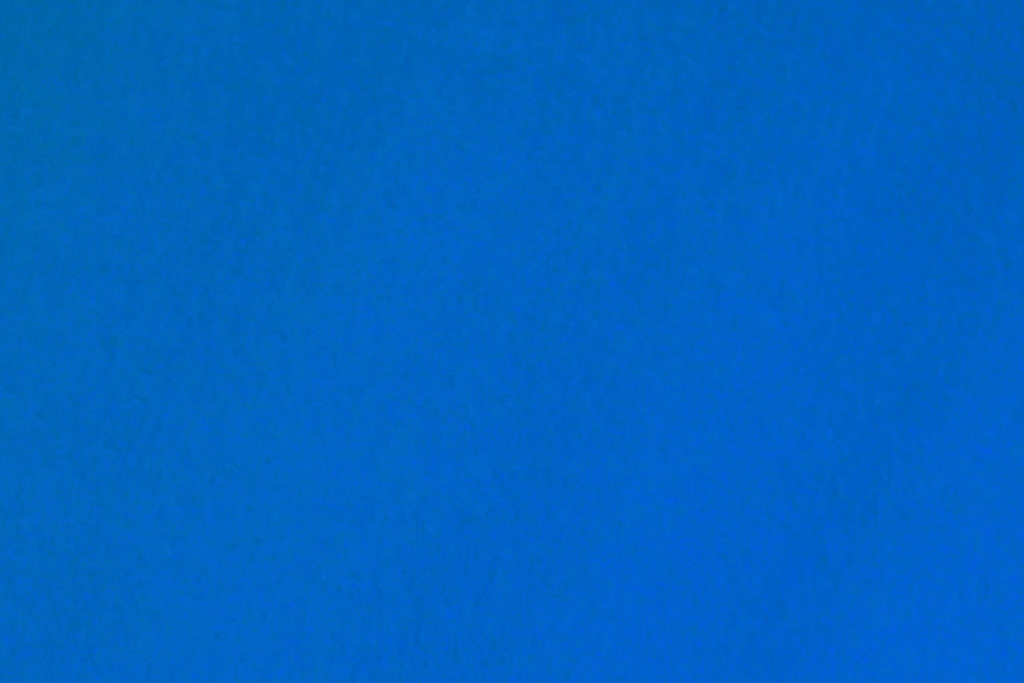 Budgetloper Miami | Blauw van Rodelopers