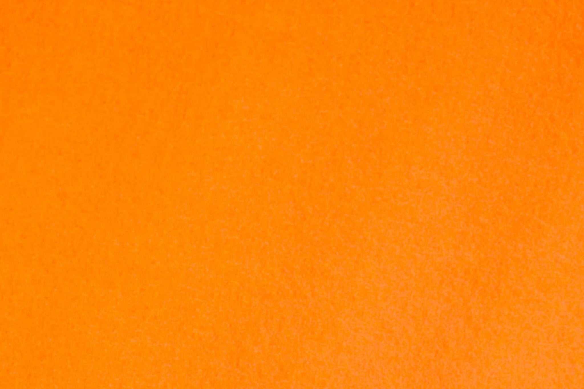 Budgetloper Miami | Oranje van Rodelopers