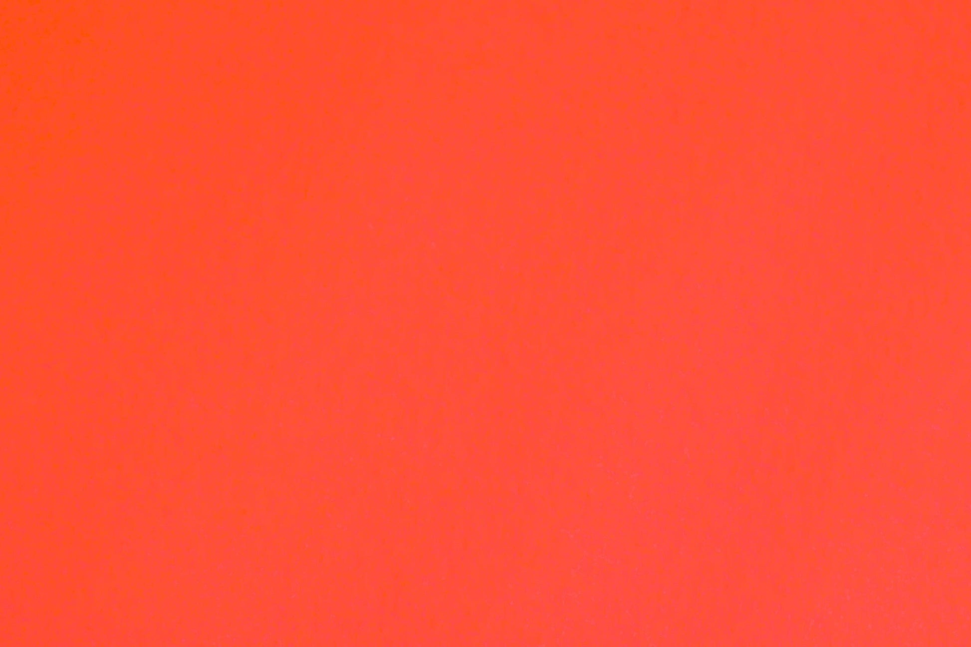 Miami | Rood Lopers Rodelopers 