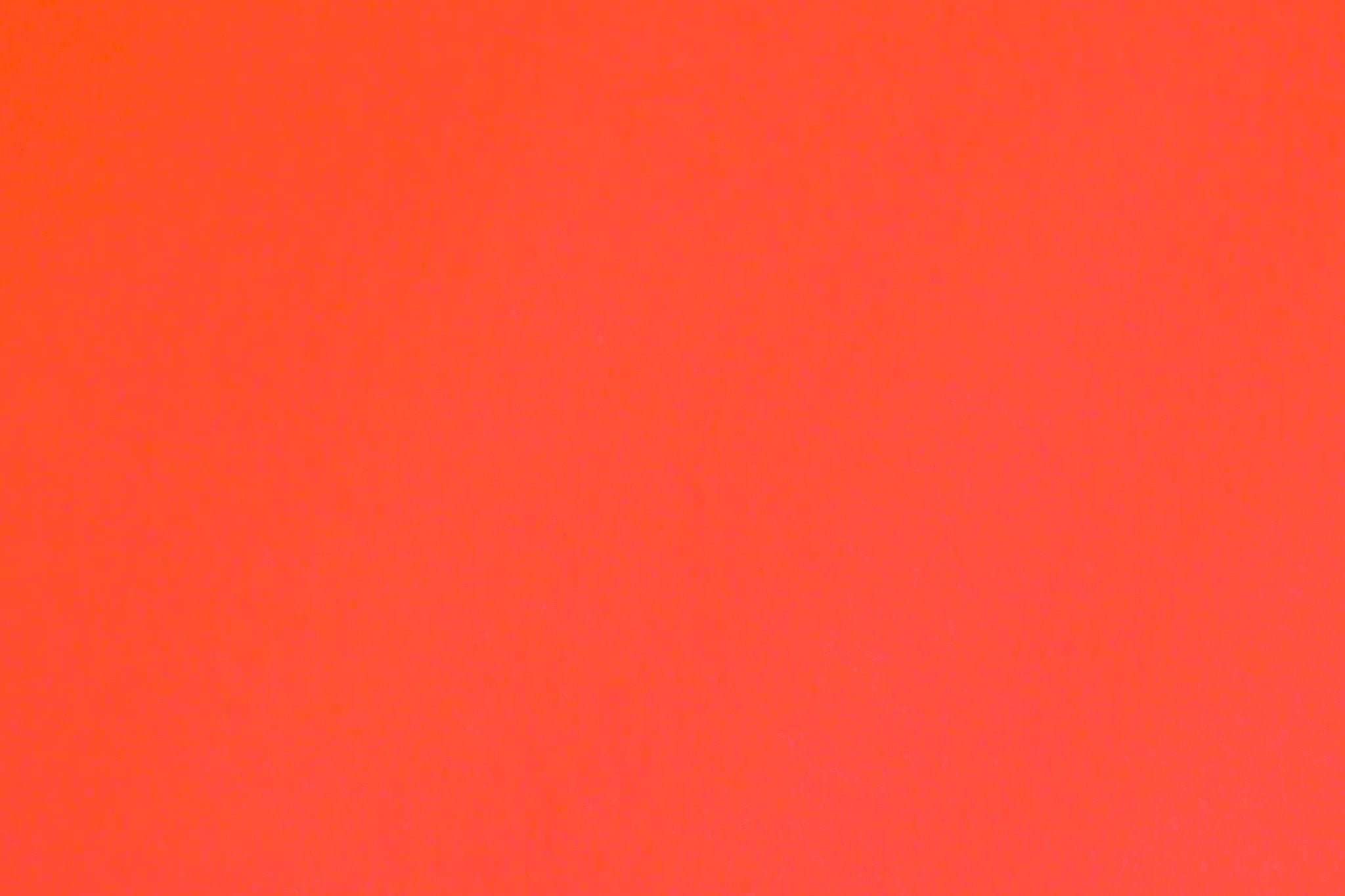 Budgetloper Miami | Rood van Rodelopers