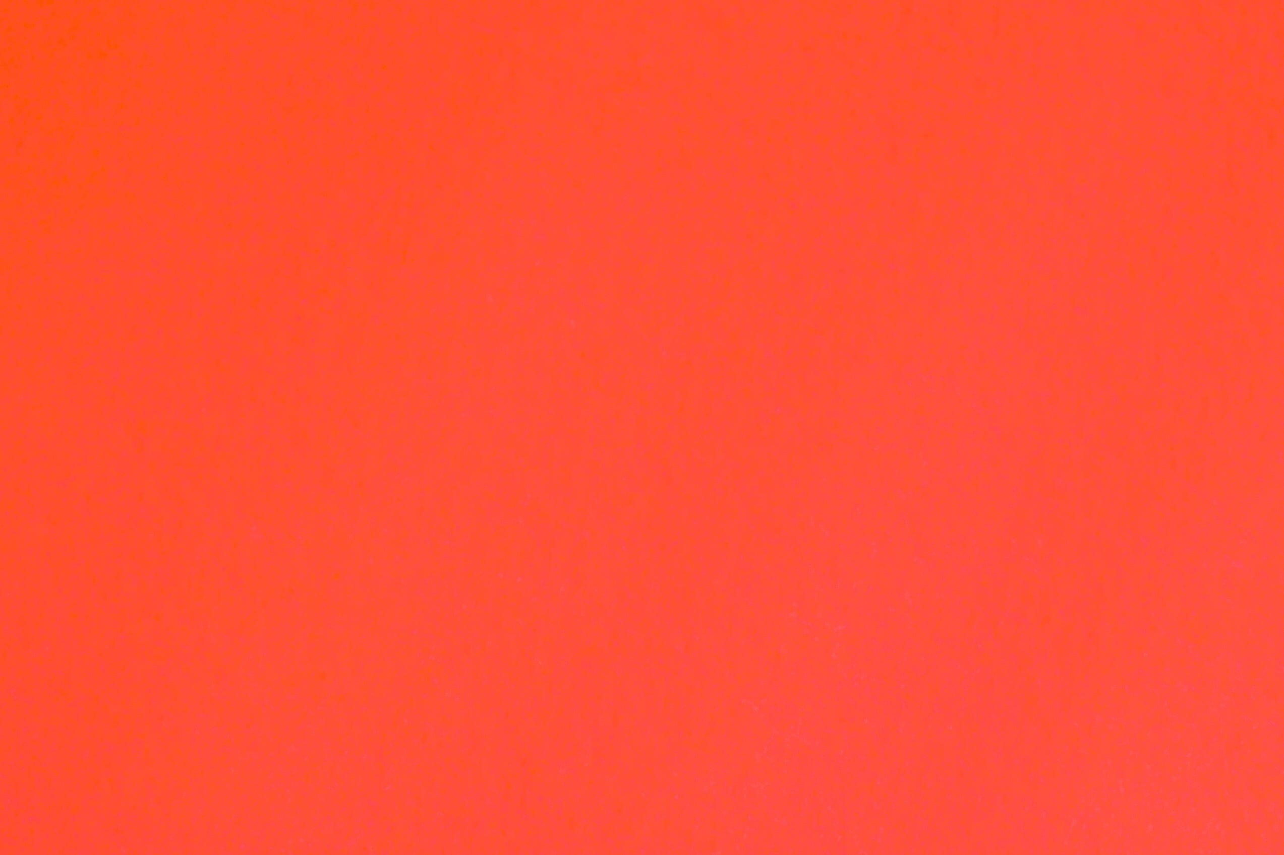 Miami | Rood Lopers Rodelopers 