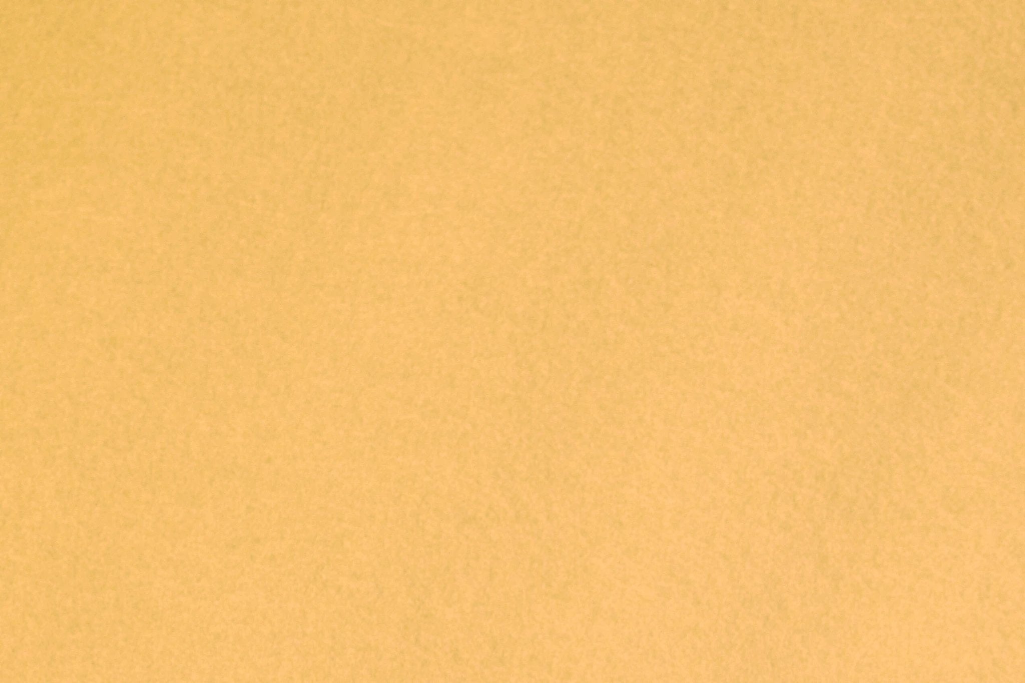 Budgetloper Miami | Zand van Rodelopers