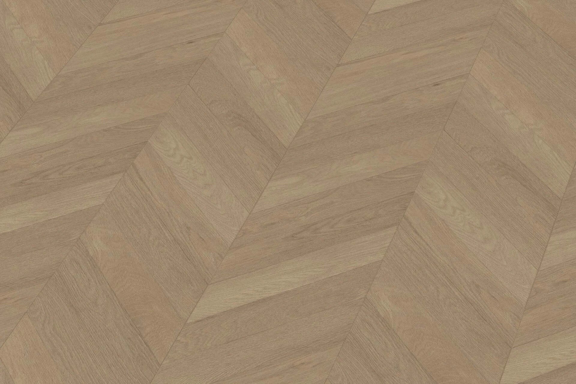 Robusto | 3204 - Bruin | 400cm van Rodelopers