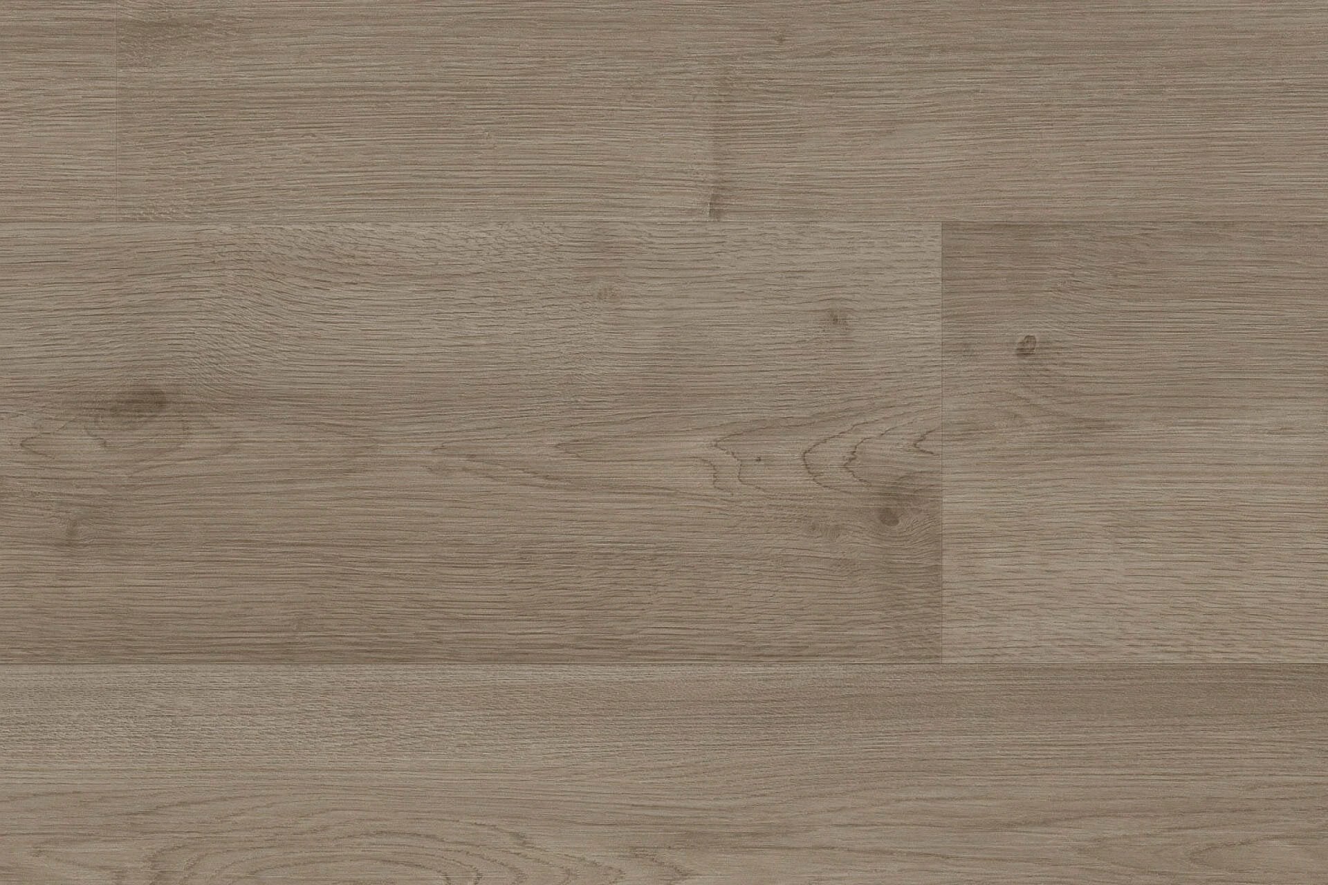 Robusto | 5803 - Donkergrijs | 400cm van Rodelopers