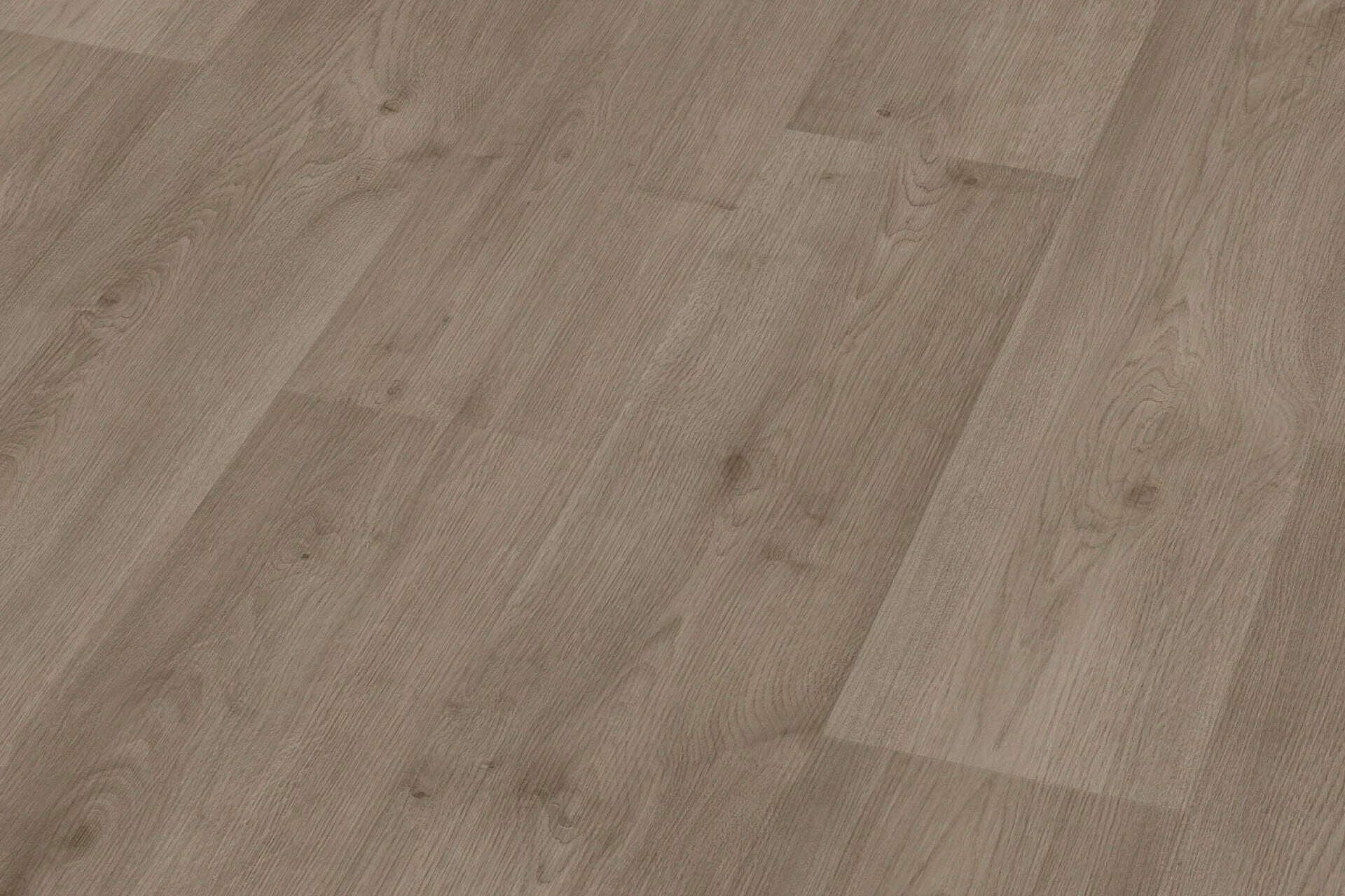 Robusto | 5803 - Donkergrijs | 400cm van Rodelopers