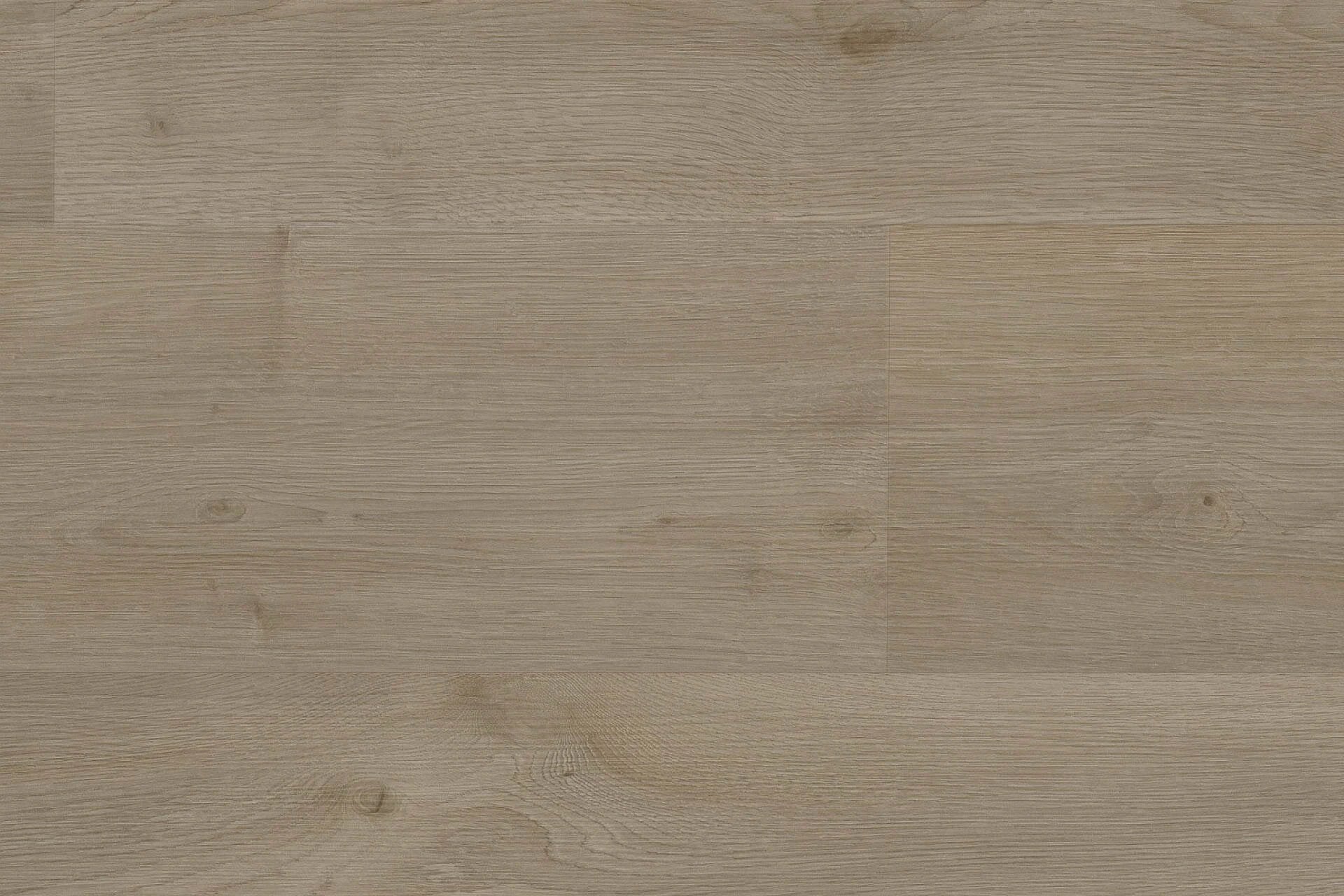 Robusto | 5806 - Bruingrijs | 400cm van Rodelopers