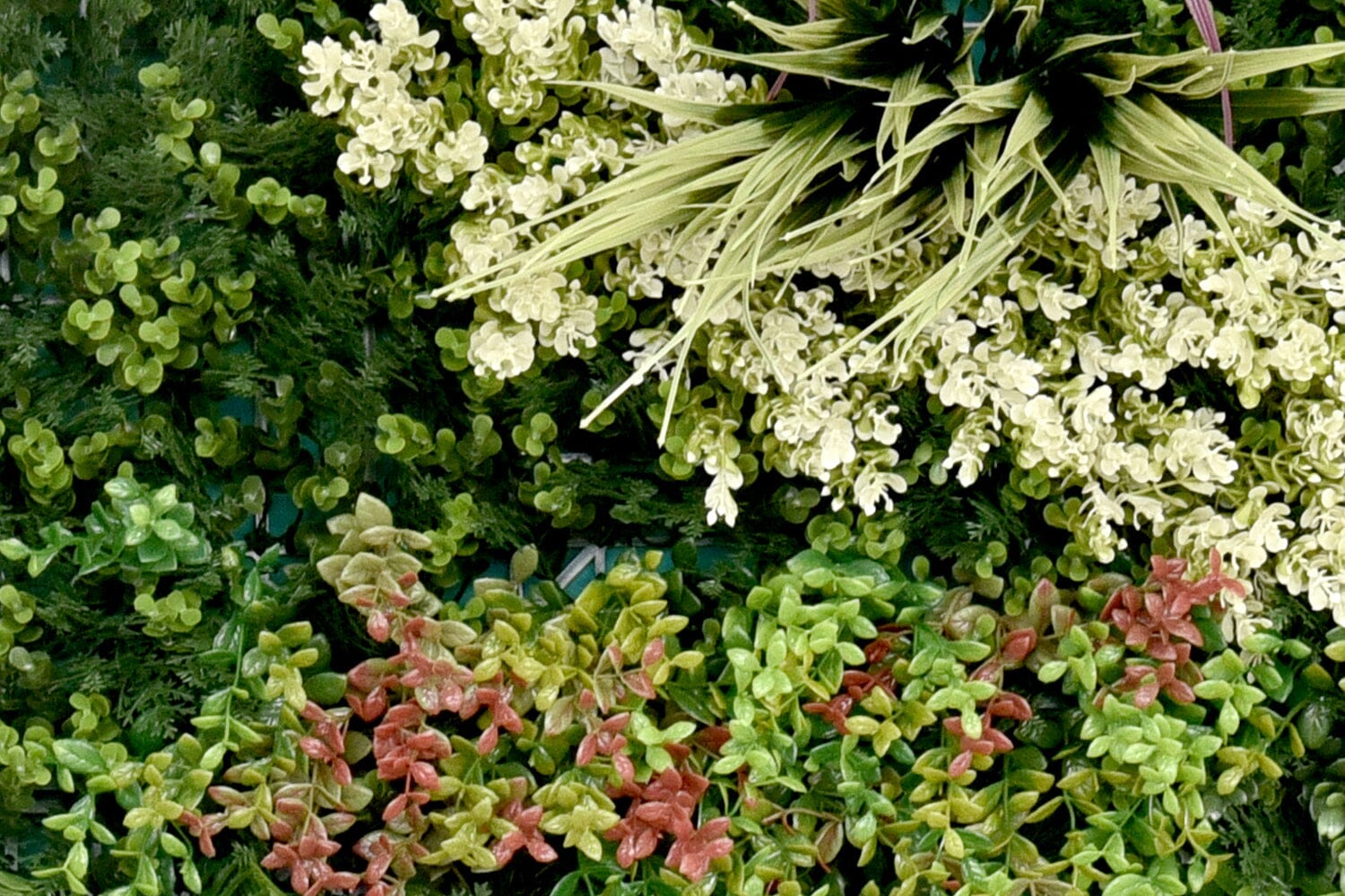 Kunsthaag Ruby A | 100 x 100cm | GJ Floors