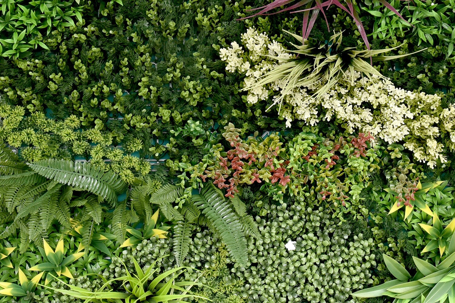 Kunsthaag Ruby A | 100 x 100cm | GJ Floors