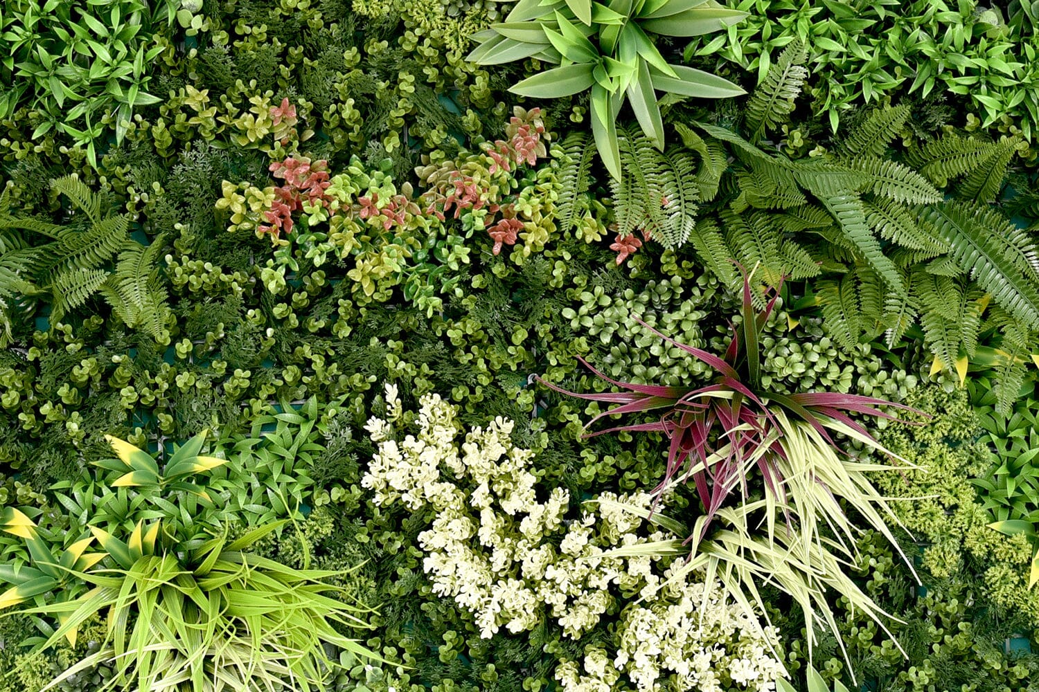 Kunsthaag Ruby B | 100 x 100cm | GJ Floors