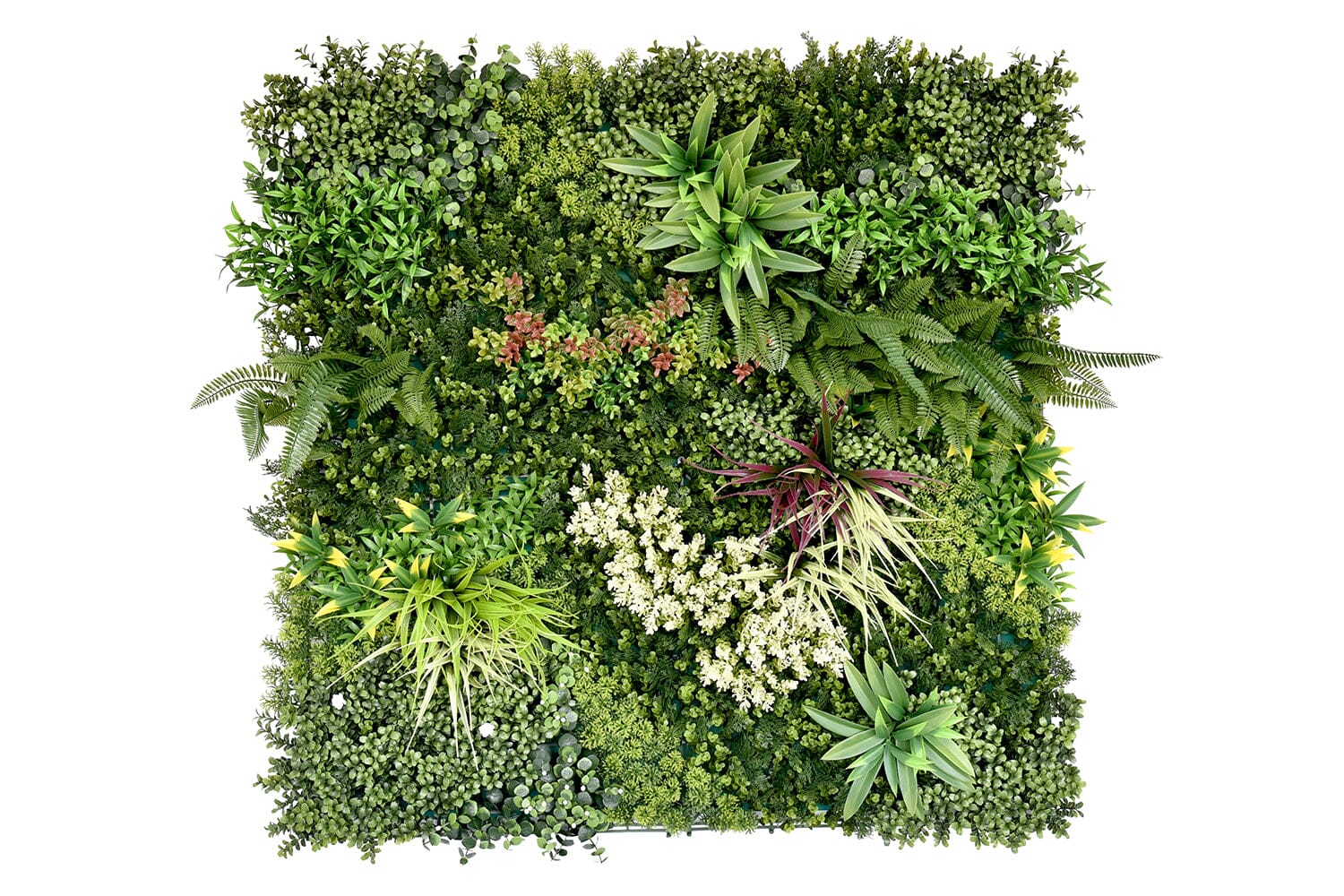 Kunsthaag Ruby B | 100 x 100cm | GJ Floors