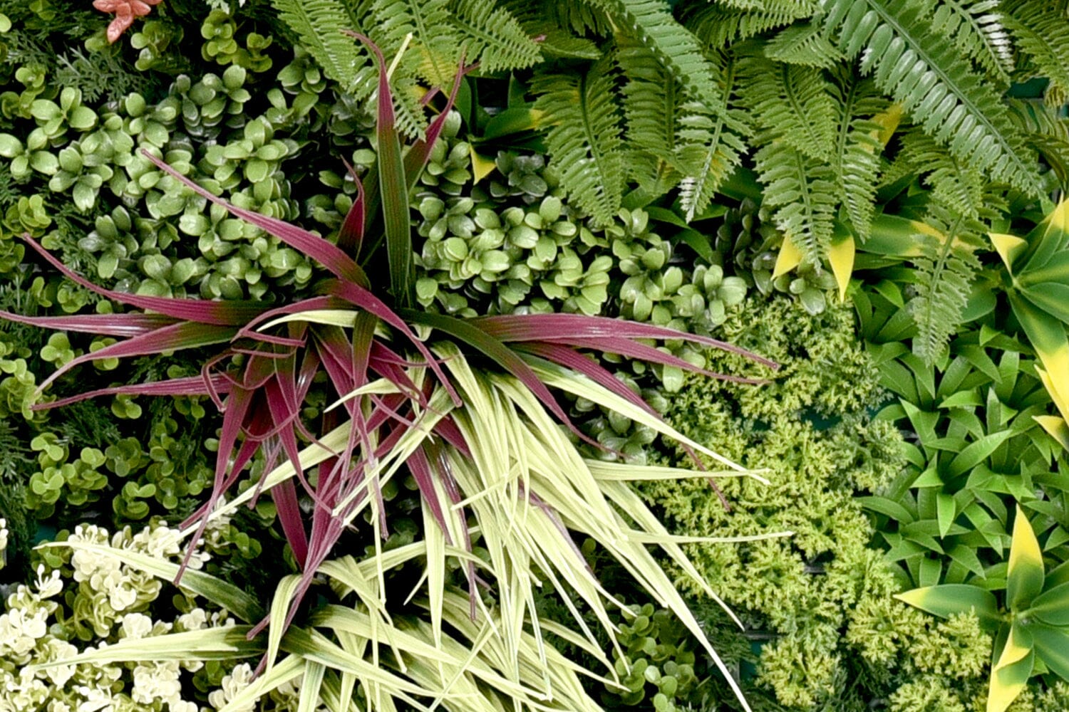 Kunsthaag Ruby B | 100 x 100cm | GJ Floors