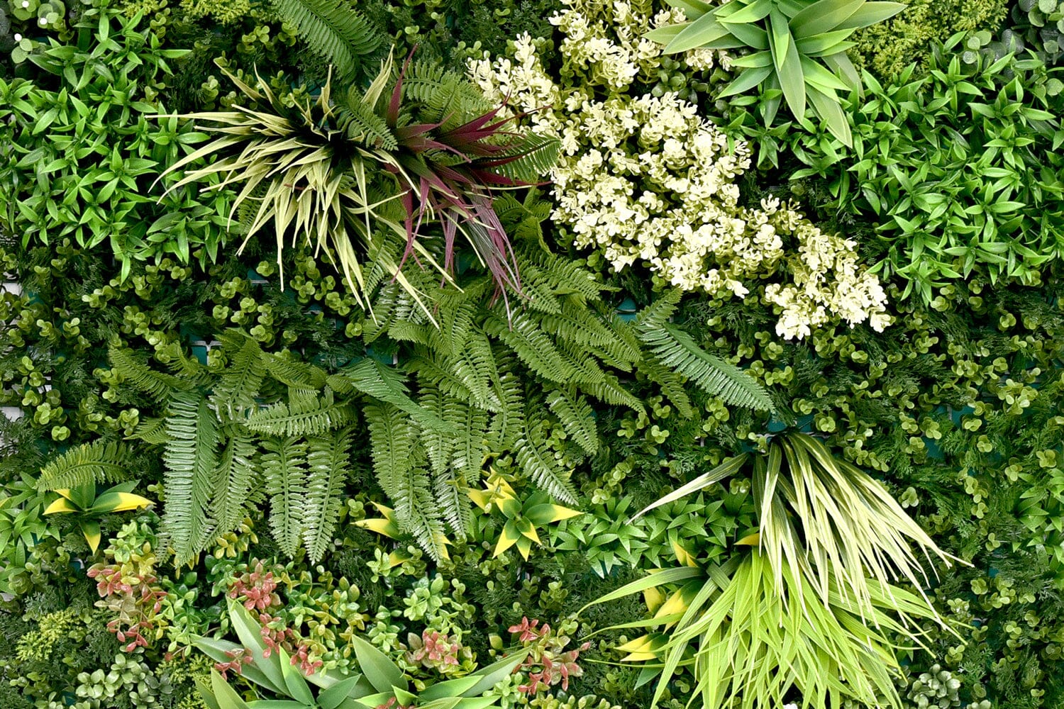 Kunsthaag Ruby C | 100 x 100cm | GJ Floors