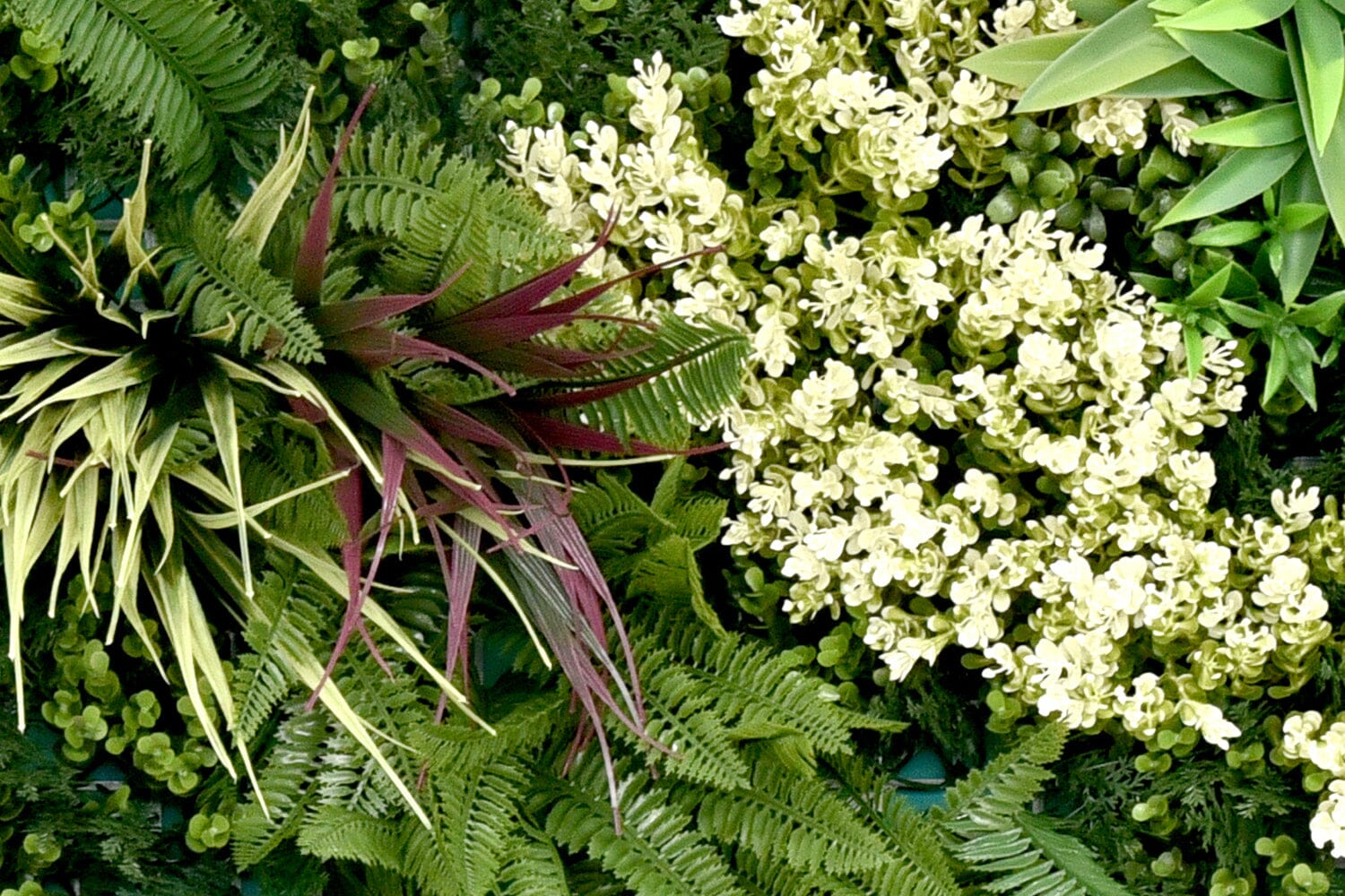 Kunsthaag Ruby C | 100 x 100cm | GJ Floors