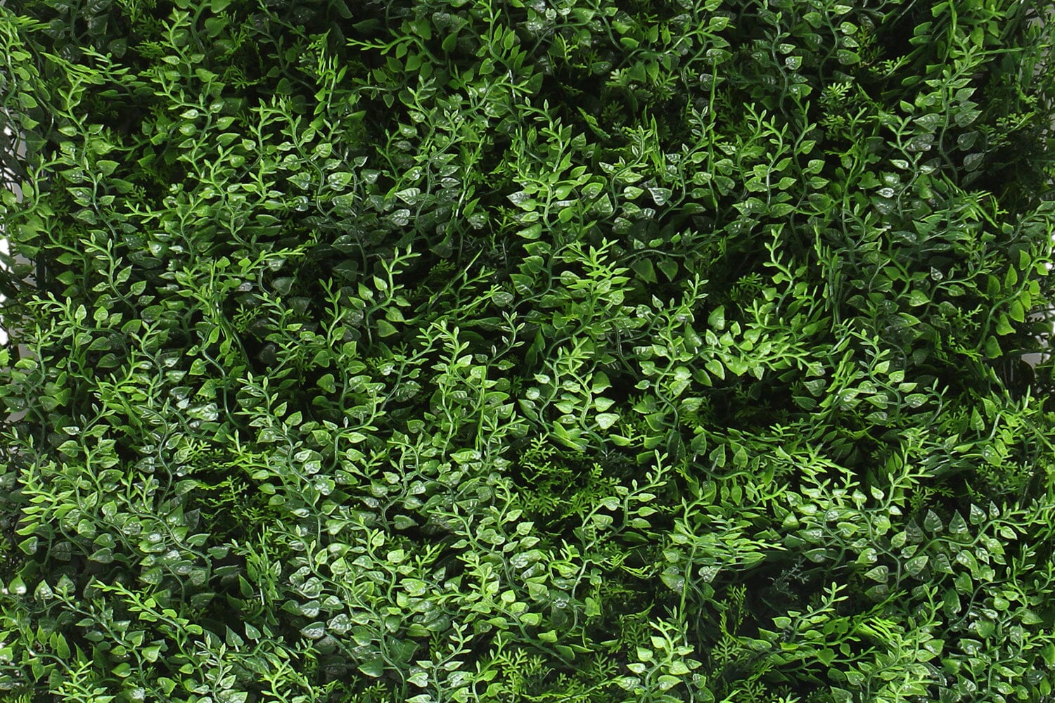 Kunsthaag Tess Varens | 100 x 100cm | GJ Floors