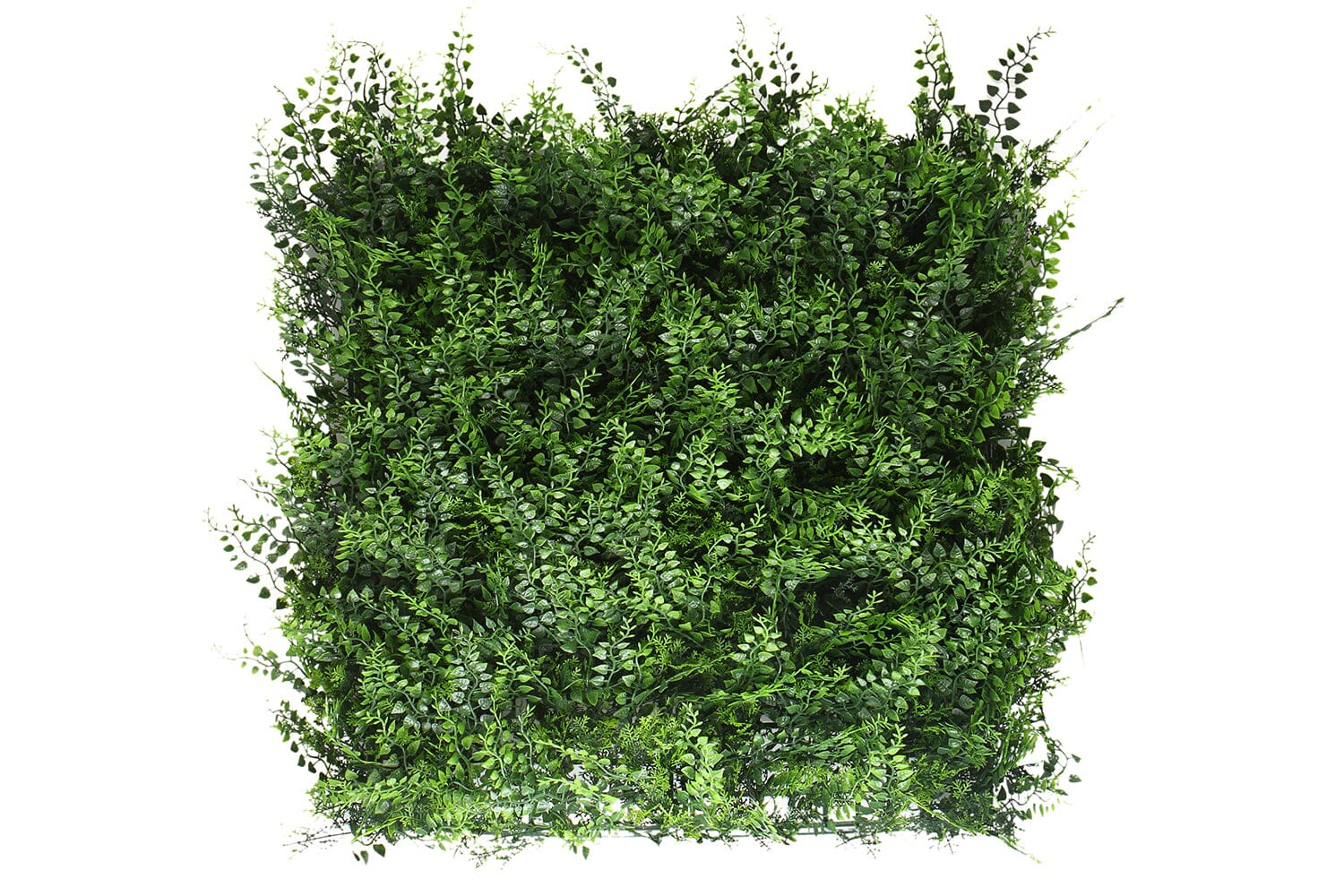 Kunsthaag Tess Varens | 100 x 100cm | GJ Floors